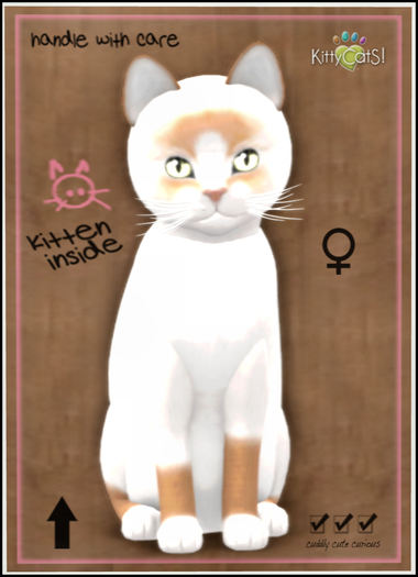 KittyCatS Box - Snowshoe - Red 7T F