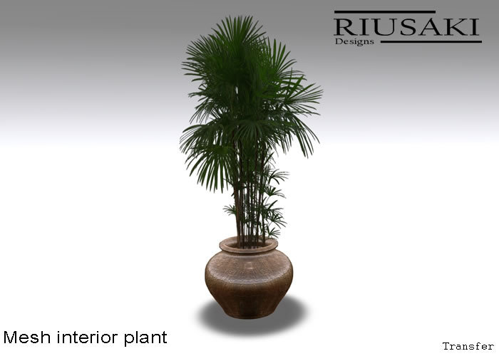 [R] Interior plant