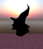  halloween witch-bruja halloween