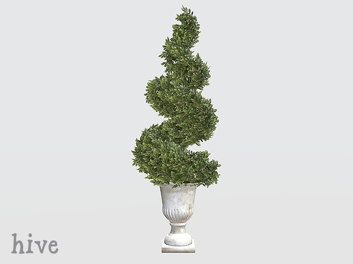 hive // spiral boxwood topiary [wear to unpack]