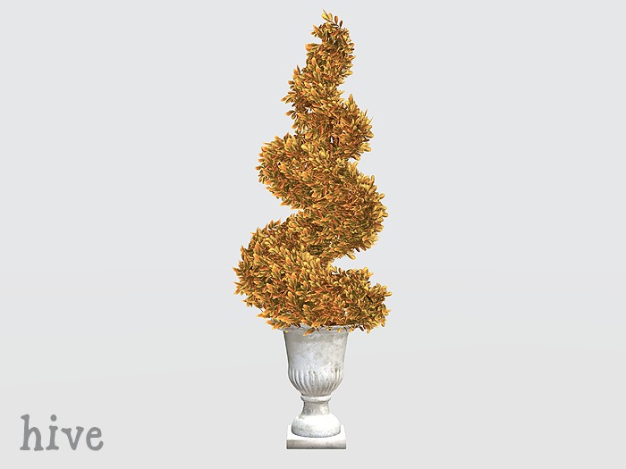 hive // spiral boxwood topiary . autumn