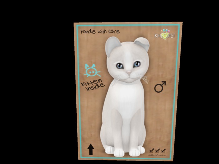 New Born Kitten - Pearl II Tapestry Allure Boy