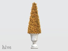 hive // cone boxwood topiary . autumn