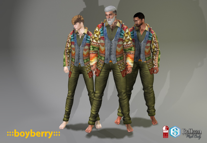 boyberry Navajo