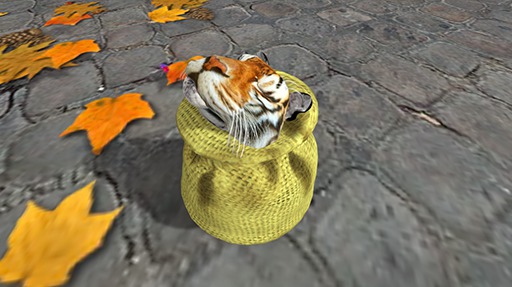 Male WK Tiger