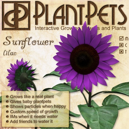 PlantPet Seed [Sunflower *Lilac*] - Common