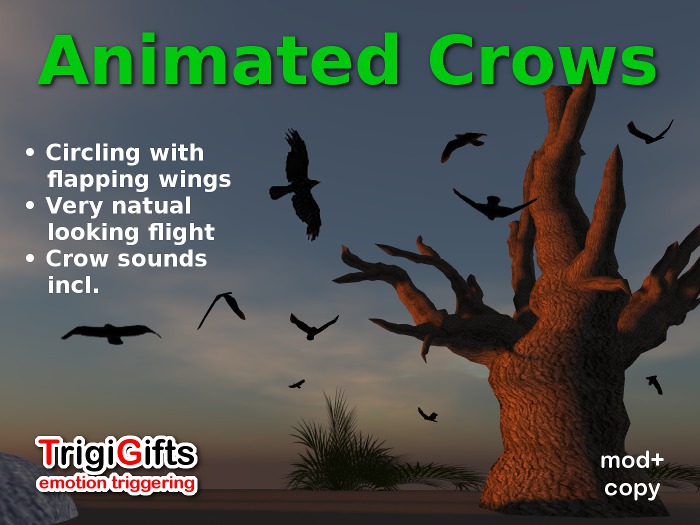Crows