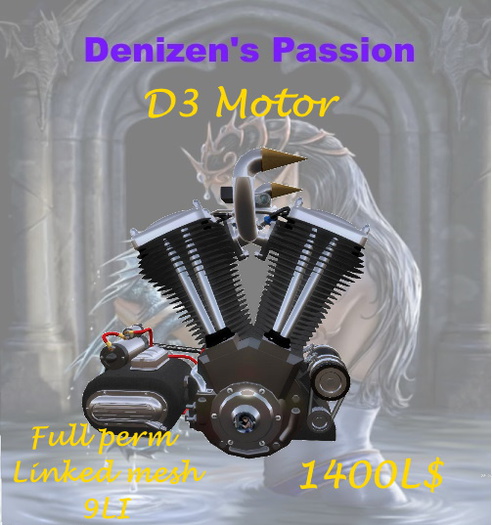 D3 Motor