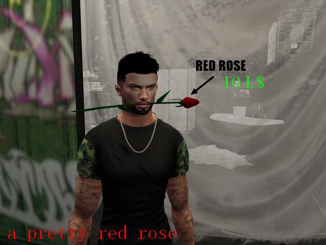 ROSE RED (wear)