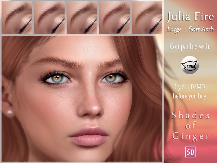 Eyebrows, Catwa: JuliaFire.Large.SoftArch.Ginger