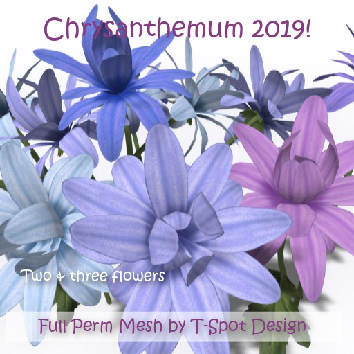 T-Spot Mesh - Chrysanthemum 2019 - 2 & 3 Flowers - FP - LI=0.5