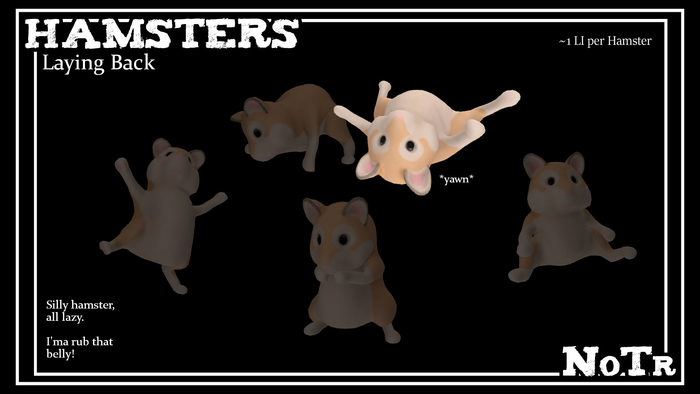 .:NoTr:. Hamster - Lay Back