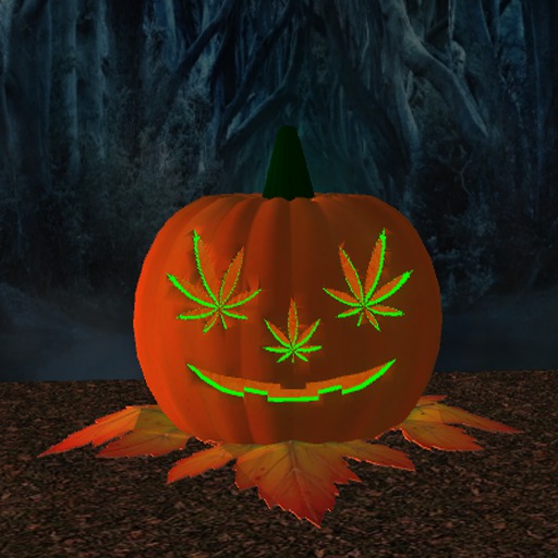 Stoner O Lantern