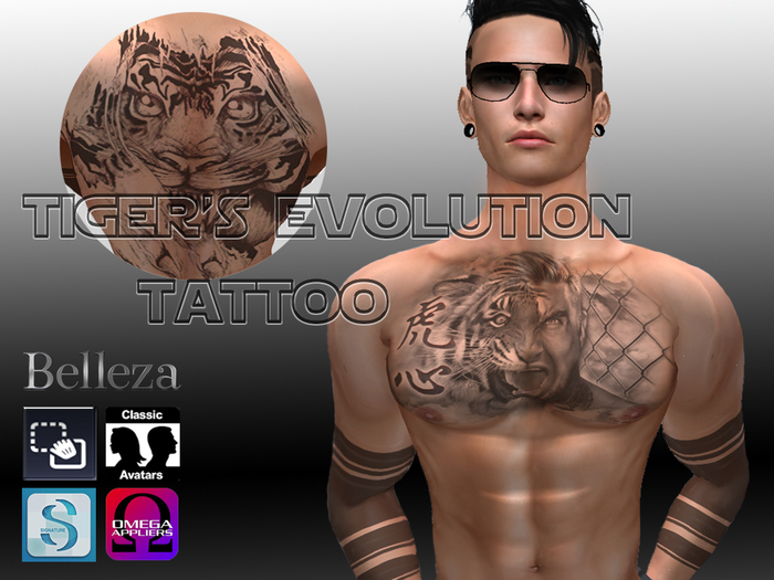 Tiger's Evolution Tattoo
