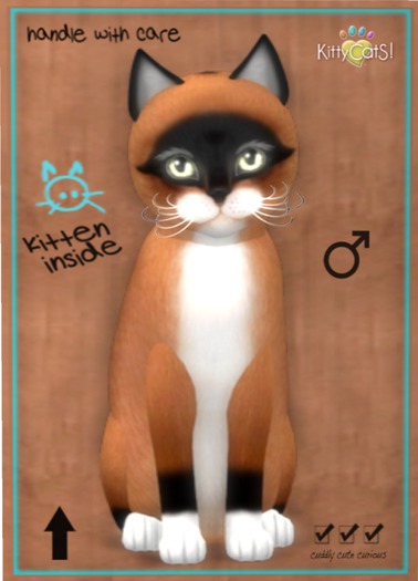 KittyCatS Box - Foxie - Red Mask