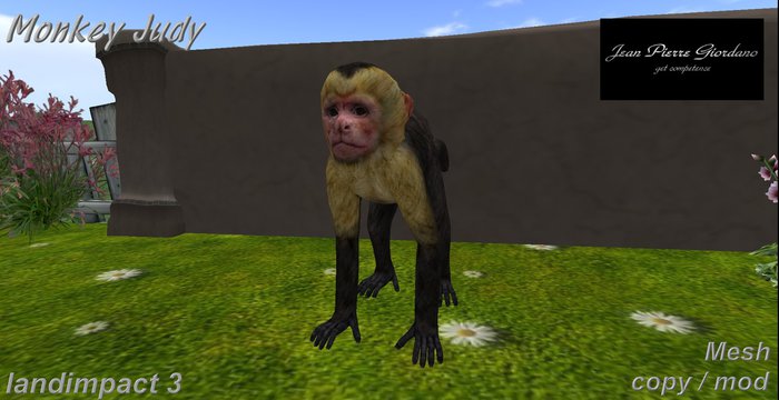 Monkey Judy mesh 