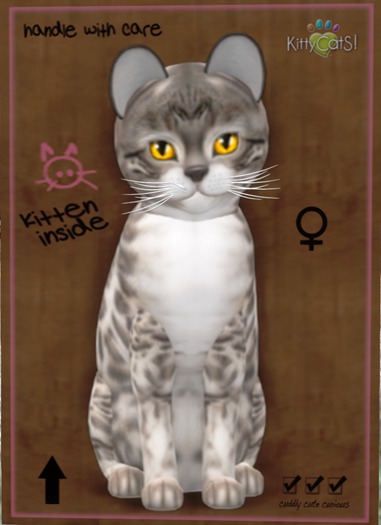 KittyCatS Box Normal - Girl 4