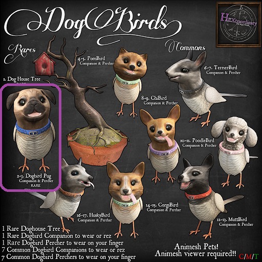 3. *HEXtraordinary* Dogbirds - PugBird Percher - RARE