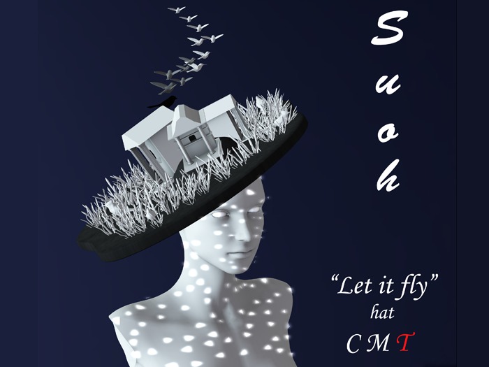 SUOH * Let it Fly * Hat   BOXED
