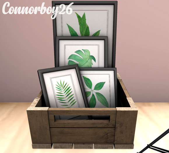 14. BAMSE : Home Studio - Boxed Frames