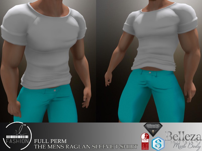 The Mens Raglan Sleeve T-Shirt