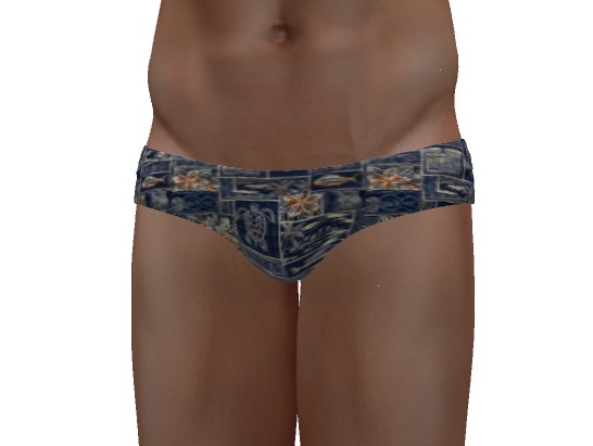 Hawaiian Turtle Speedo Gianni