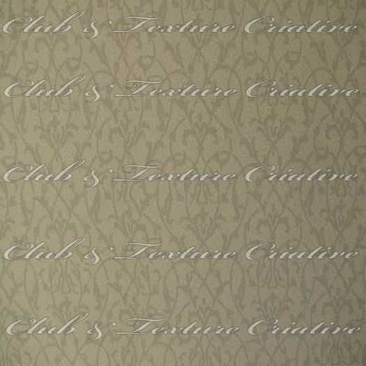 Wall Texture Design
