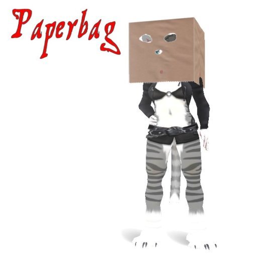 Paperbag Mod Boxed