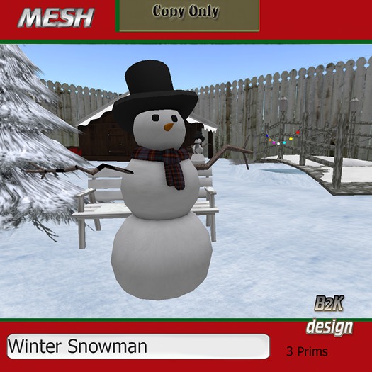 Winter SnowMan