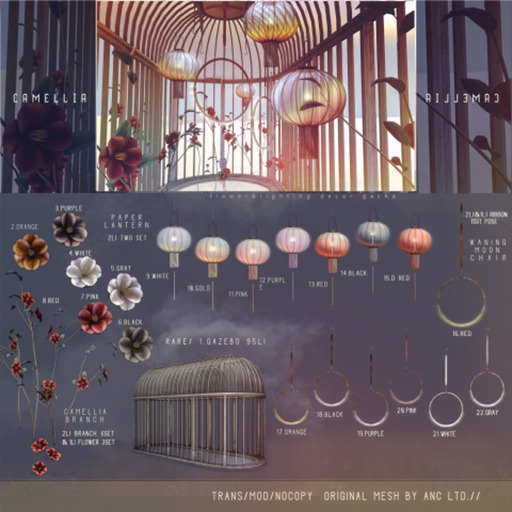 9){anc} CAMELLIA. lantern (white)