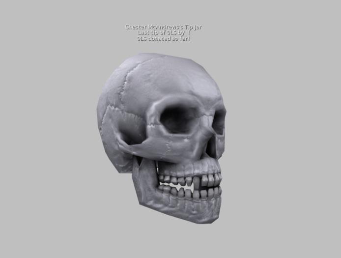 CMA Mesh Skull Tip Jar