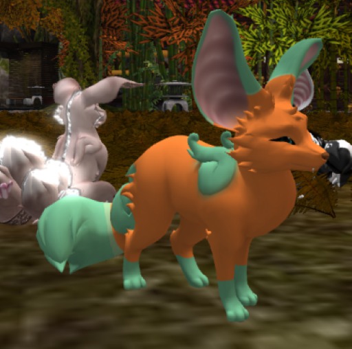 NUTBUSTERZ fennec jack o'lantern texture