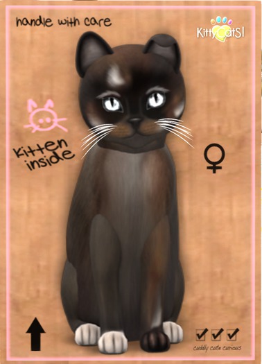 KittyCatS Box Normal - Girl 5