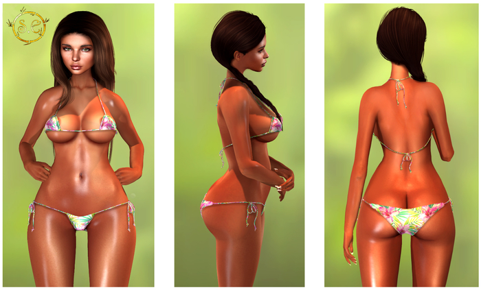 *Snow Elf* Shape for AK Deluxe Cleo bento *mid* 