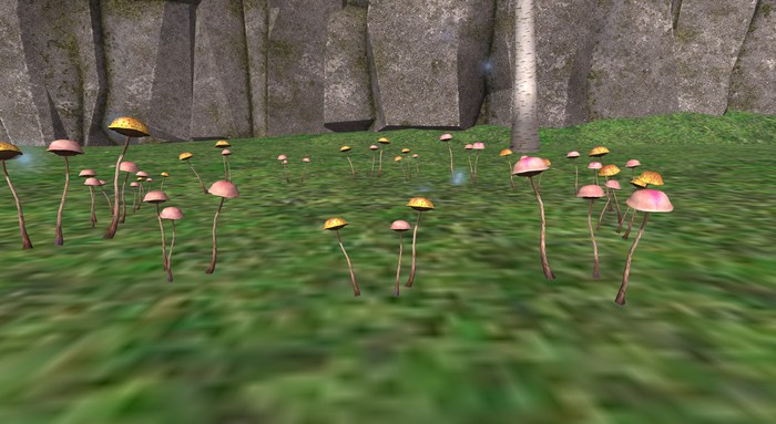 LMD  Fairy Ring