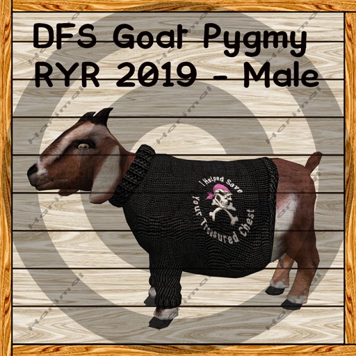 DFS Goat Pygmy RYR 2019 - Male TEXTURE