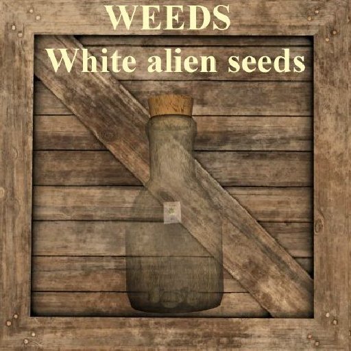 WEEDS - white alien seeds