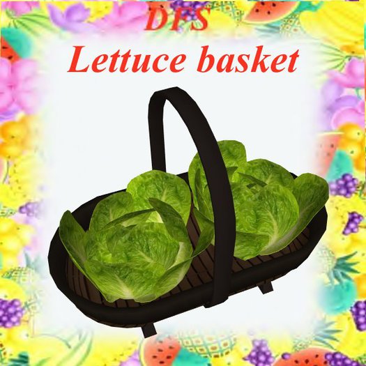 Lettuce basket -  DFS storage vendor crate fb