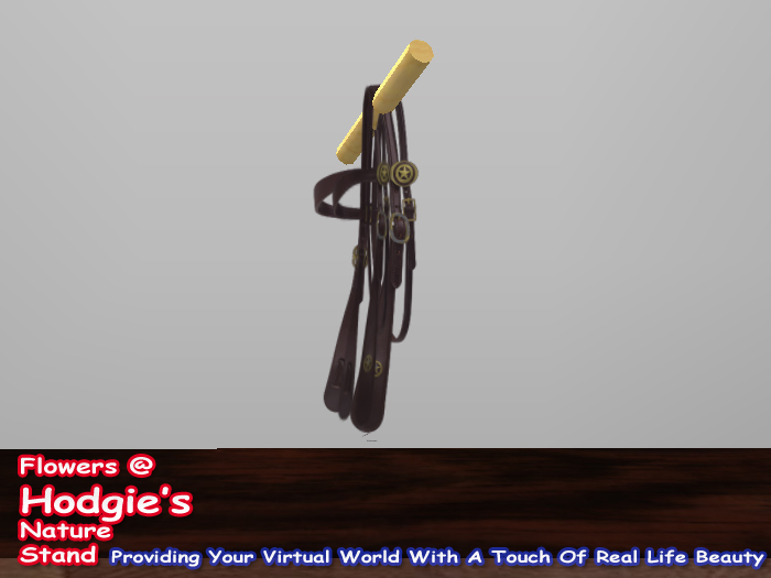 Black Bridle On A Post 