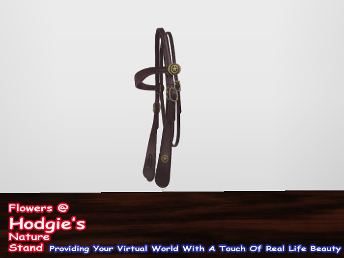 Black Horse Bridle