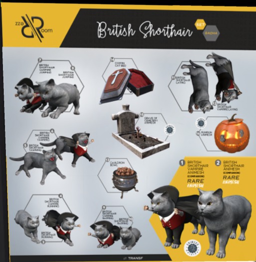 Second Life Marketplace - [Rezz Room] Box British Shorthair Yawning
