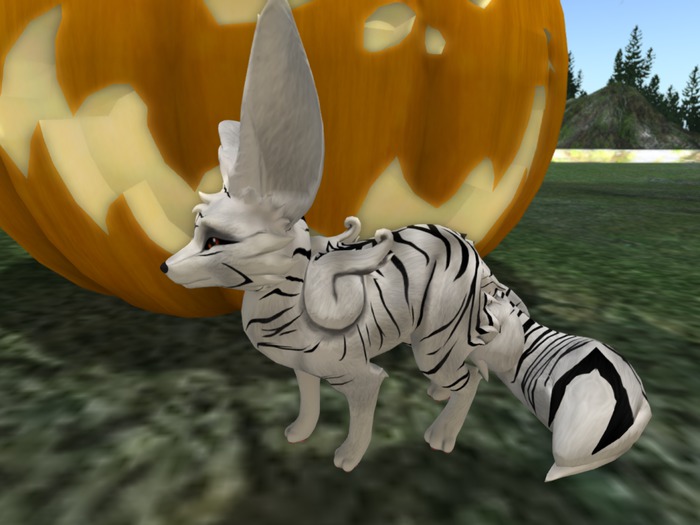 White tiger