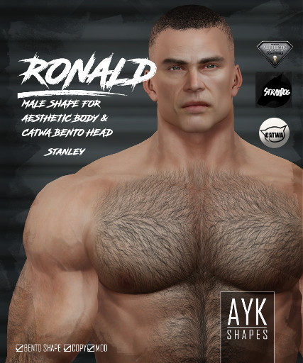 AYK-SHAPES@Ronald Shape - Aesthetic Body - Catwa Head Stanley