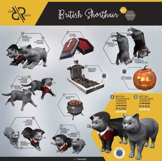 [Rezz Room] Box Cauldron Bowl