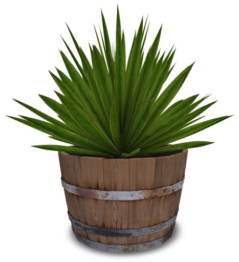 Spiky Barrel Planter