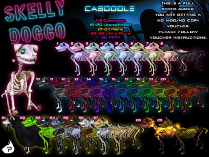 {C} Skelly Doggo Voucher {Citrus} 6