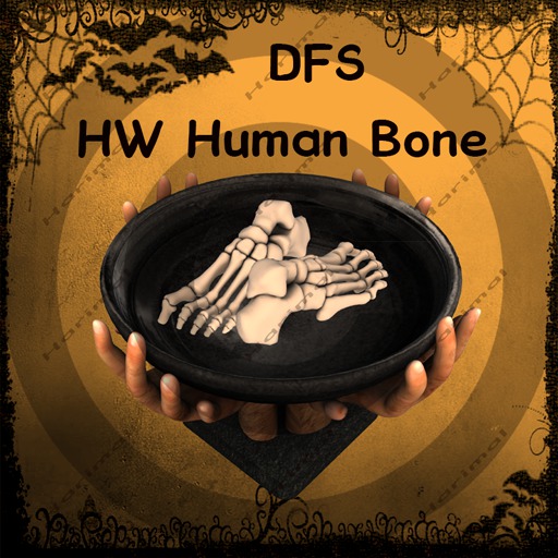 DFS HW Human Bone TEXTURE