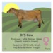 Vendor dfs cow