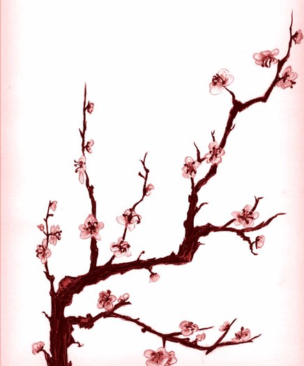 H.E.D. Cherry Blossoms