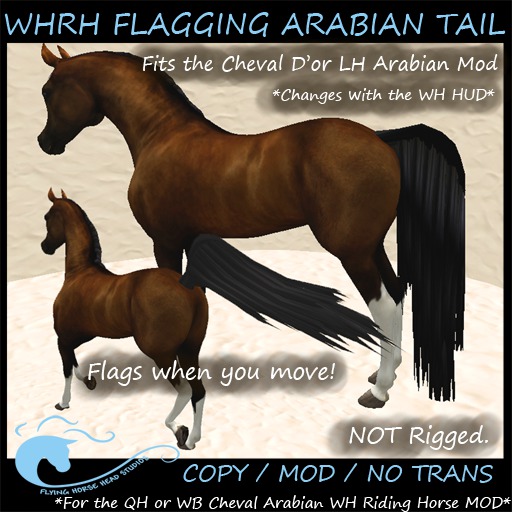 WH Riding Horse Flagging Arabian Tail